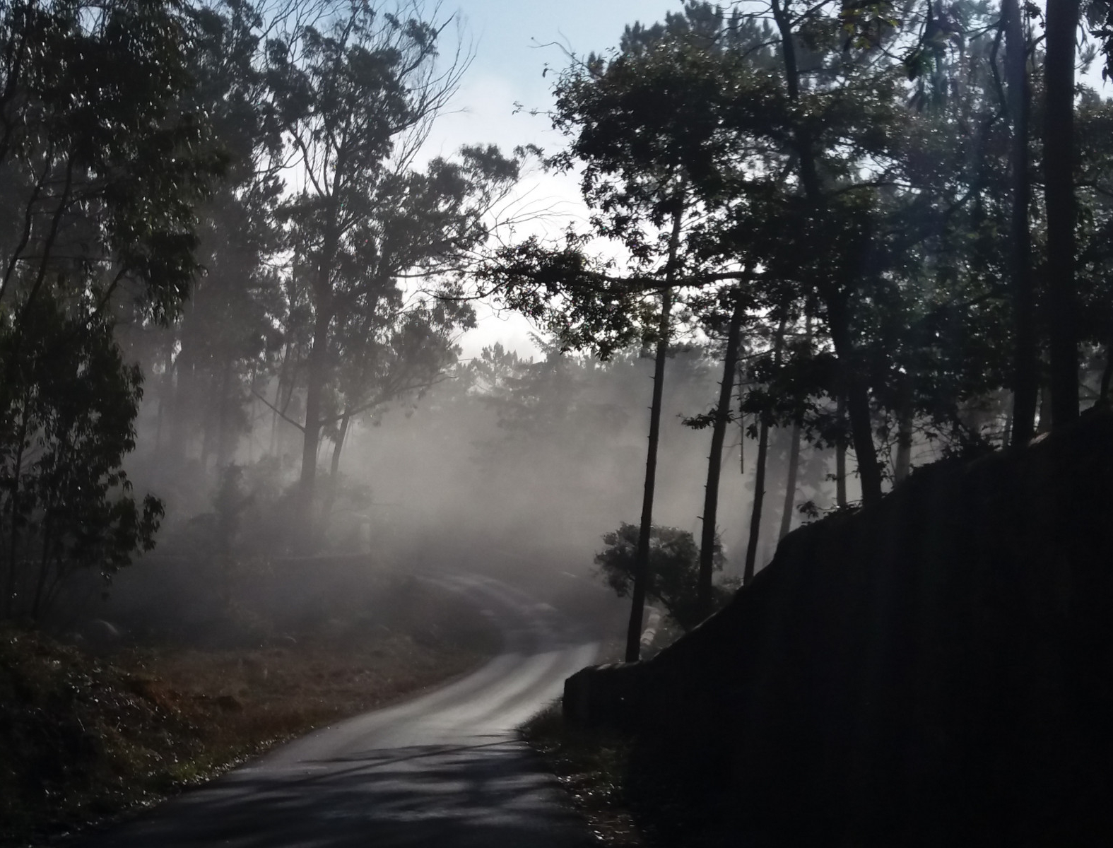 Sintra_mystic road2 Sintra_mystic road2