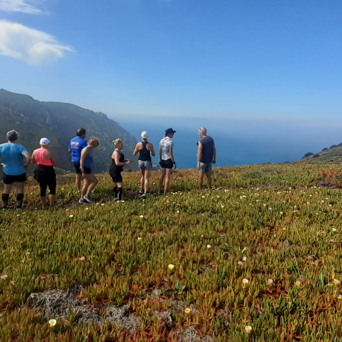 Trails and Ales - Summer hike