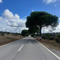 WhatsApp Image 2024 09 26 at 16