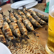 WhatsApp Image 2024 09 26 at 20